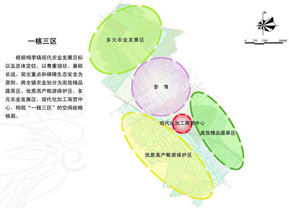  梅李镇现代农业发展规划