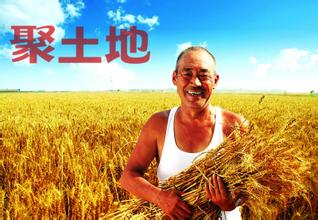 如何处理好新形势下农民和土地的关系